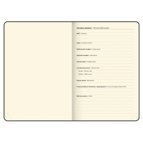 Ежедневник датированный 2026, БОЛЬШОЙ ФОРМАТ 210х297 мм, А4, BRAUBERG "Comodo", под кожу, синий, 117243 - фото 6