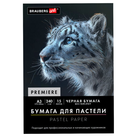 Бумага для пастели АБРАЗИВНАЯ А3 в папке, 15 листов, ЧЕРНАЯ, 240 г/м2, BRAUBERG ART, 117766 - фото 1