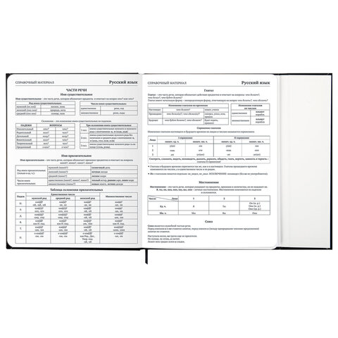Дневник 1-11 класс 48 л., твердый, BRAUBERG, матовая ламинация, магнитный клапан, закладка-ляссе, с подсказом, "Дракон", 107245 - фото 14