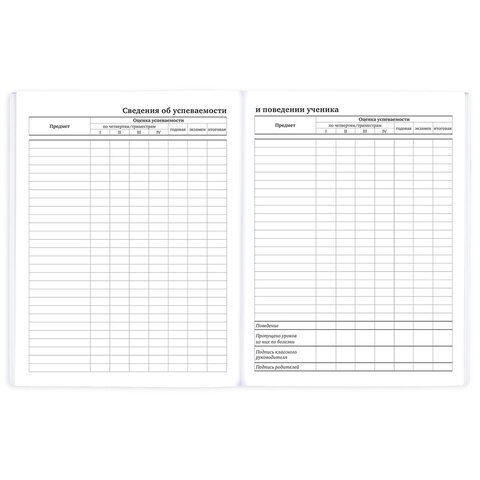 Дневник 1-11 класс 40 л., на скобе, ПИФАГОР, обложка картон, МИКС "Универсальный", 107578 - фото 11