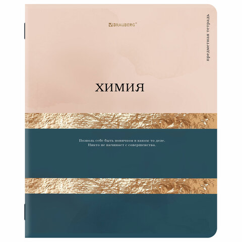 Тетради предметные, КОМПЛЕКТ 12 ПРЕДМЕТОВ, 48 л., матовая ламинация, фольга, BRAUBERG "GOLDY", 405178 - фото 11