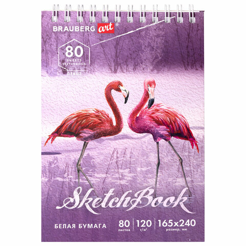 Скетчбук, белая бумага 120 г/м2 165х240 мм, 80 л., гребень, твердая обложка, BRAUBERG ART DEBUT, 112990 - фото 1