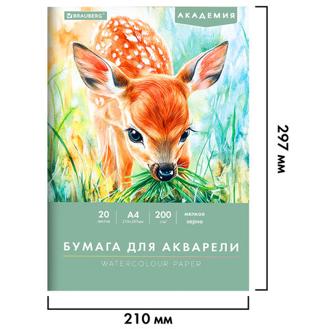 Папка для акварели А4, 210х297 мм, 20 листов, 200 г/м2, BRAUBERG АКАДЕМИЯ (ДЭК), "Оленёнок", 117746 - фото 2