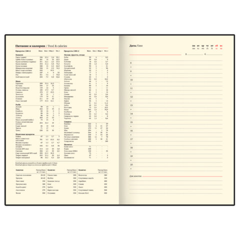 Ежедневник в наборе с ручкой А5, 144x210 мм, BRAUBERG "Style" под кожу, 160 листов, синий, 116862 - фото 12