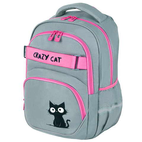 Рюкзак BRAUBERG MOTION, 2 отделения, 3 кармана, "Crazy cat", 41х28х17 см, 273115 - фото 1
