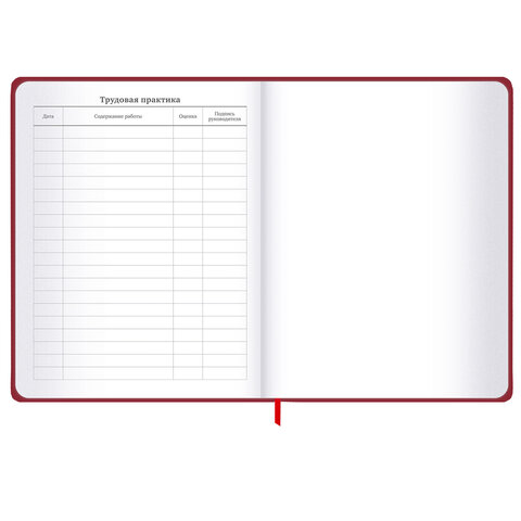 Дневник 1-11 класс 48 л., твердый, BRAUBERG, матовая ламинация, резинка, закладка-ляссе, с подсказом, "Мото", 107236 - фото 19