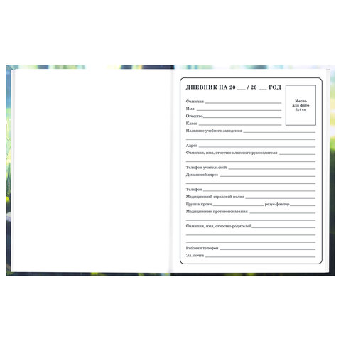 Дневник 1-4 класс 48 л., твердый, BRAUBERG, выборочный лак, с подсказом, "Оленёнок", 107595 - фото 5