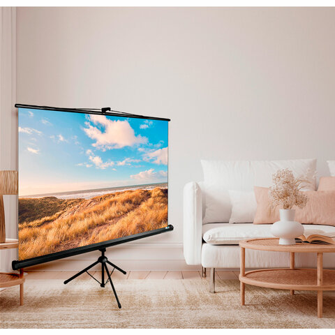 Экран Cactus Triscreen CS-PST-180x180, 180x180 см, 1:1, напольный, черный - фото 3