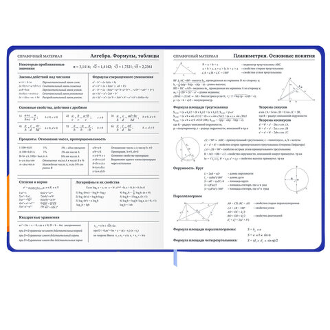Дневник 1-11 класс 48 л., твердый, BRAUBERG, матовая ламинация, резинка, закладка-ляссе, с подсказом, "Гусь", 107237 - фото 15