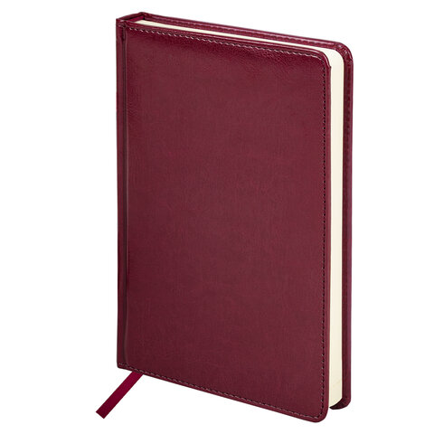 Ручка шариковая PARKER "Jotter Plastic CT", корпус красный, ежедневник А5 красный, пакет, 880897 - фото 7