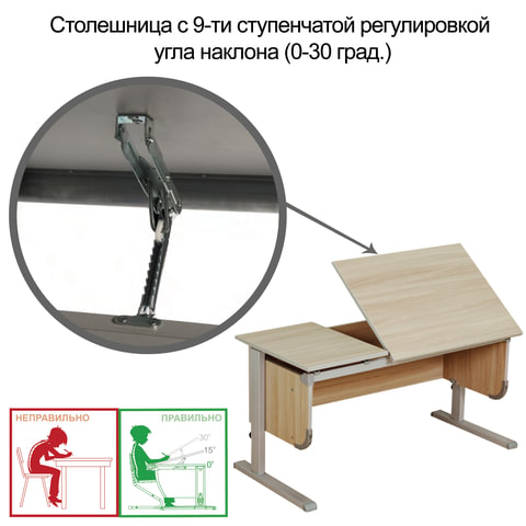 Стол-парта регулируемый "ДЭМИ" СУТ.29, 1117х530х530-815 мм, серый/ясень (КОМПЛЕКТ) - фото 2