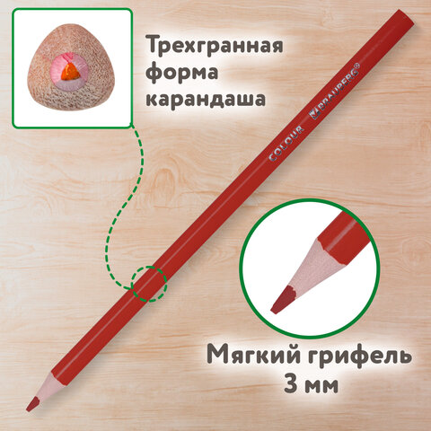 Карандаши цветные BRAUBERG KIDS NEW, 12 цветов, трехгранные, грифель 3 мм, 182001 - фото 9