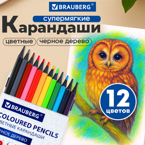 Карандаши цветные BRAUBERG, 12 цветов, шестигранные, грифель 3,3 мм, черное дерево, 181856 - фото 6