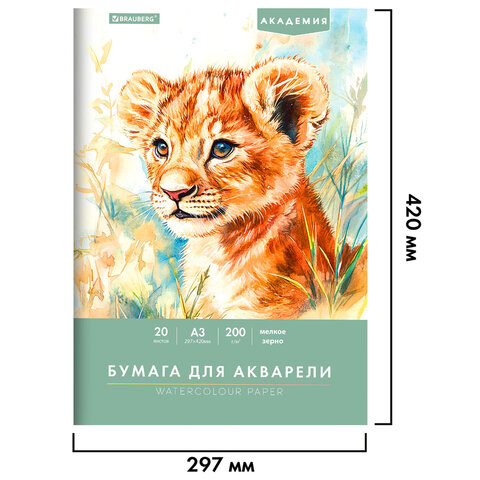 Папка для акварели БОЛЬШАЯ А3, 297х420 мм, 20 листов, 200 г/м2, BRAUBERG АКАДЕМИЯ (ДЭК) "Львёнок", 117745 - фото 2