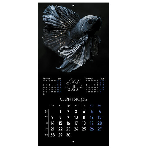 Календарь настенный перекидной 2026 г., BRAUBERG, 12 листов, 28,5х28,5 см, "Black esthetic", 116927 - фото 12