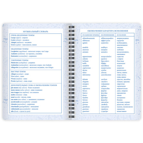 Дневник для музыкальной школы 48 листов, гребень, пластиковая обложка, картон, BRAUBERG, "МИКС", 107519 - фото 11