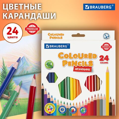 Карандаши цветные BRAUBERG PREMIUM, 24 цвета, шестигранные, грифель 3 мм, 181668 - фото 7