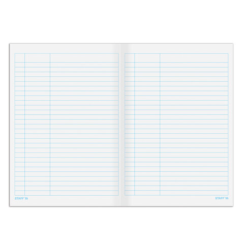 Книга учета 48 л., пустографка, обложка из мелованного картона, блок офсет, А4 200х290 мм, STAFF, 130212 - фото 4