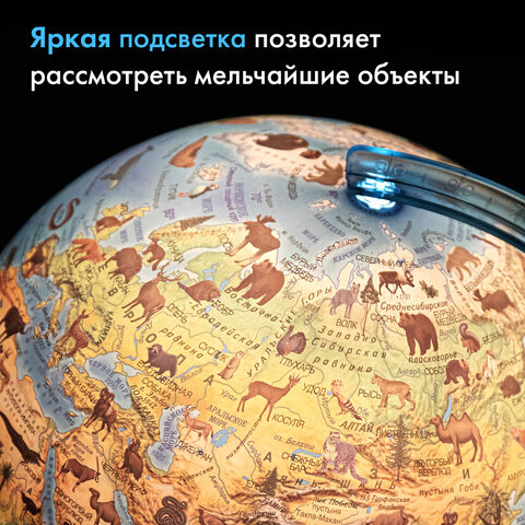 Глобус интерактивный + очки VR, зоогеографический, GLOBEN, 25см, с подсветкой, INT12500306 - фото 20