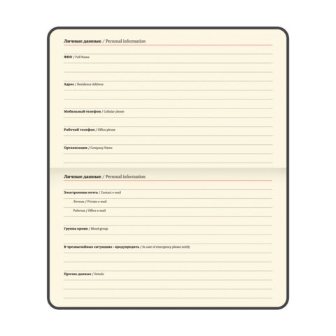 Еженедельник датированный 2026 МАЛЫЙ ФОРМАТ 95х155 мм, А6, BRAUBERG "Augustus", под кожу, голубой, 117185 - фото 6