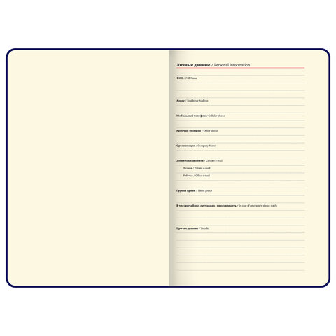 Ежедневник недатированный, А5, 143х210 мм, BRAUBERG "Dainty", под кожу, магнитная застежка, 160 л., розовый, 117143 - фото 7