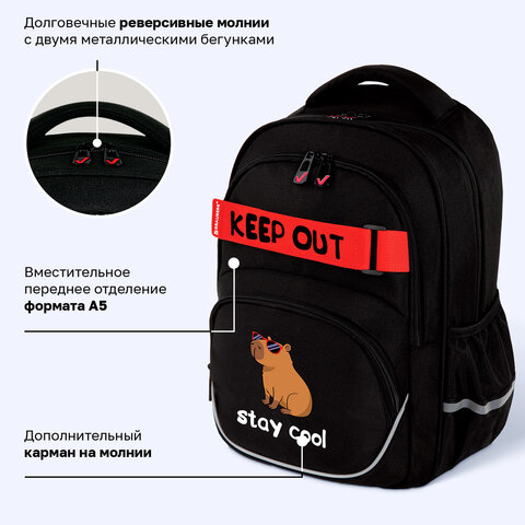 Рюкзак BRAUBERG MOTION, 2 отделения, 3 кармана, "Капибара", СВЕТЯЩИЙСЯ, 41х28х17 см, 272032 - фото 13