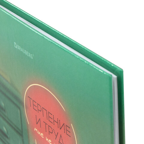 Дневник 1-11 класс 40 л., твердый, BRAUBERG, глянцевая ламинация, "Пушистый хулиган", 107599 - фото 4