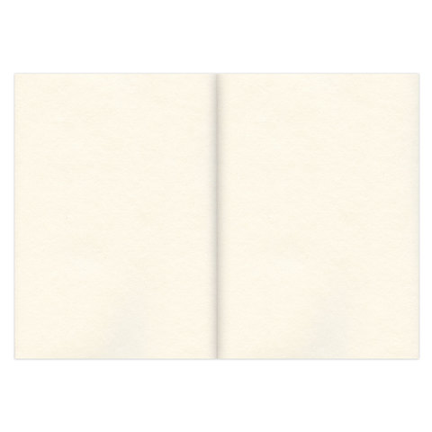 Скетчбук, слоновая кость 100 г/м2, 148х210 мм, 120 л., прошивка, BRAUBERG ART CLASSIC, 128961 - фото 3