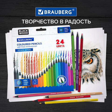 Карандаши цветные BRAUBERG, 24 цвета, шестигранные, грифель 3,3 мм, черное дерево, 181858 - фото 11