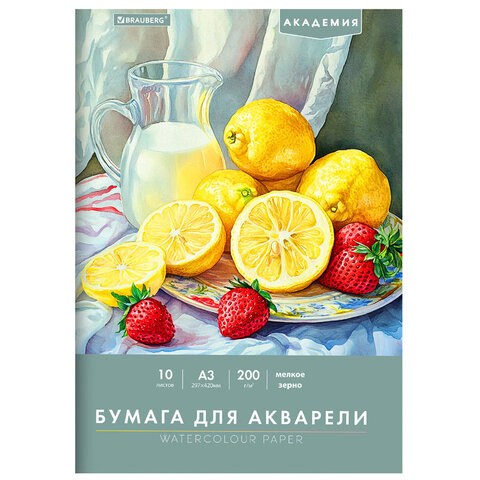 Папка для акварели БОЛЬШАЯ А3, 297х420 мм, 10 листов, 200 г/м, BRAUBERG АКАДЕМИЯ (ДЭК) "Натюрморт", 117741 - фото 1