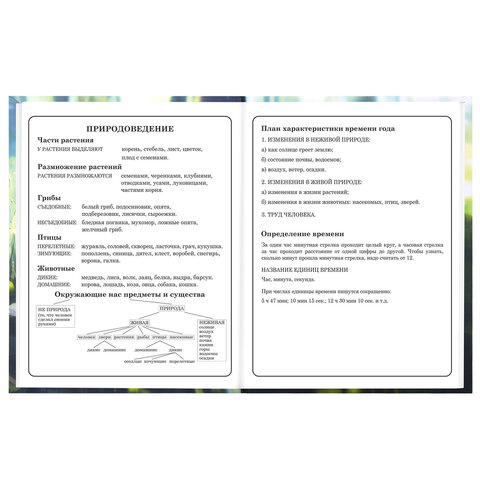 Дневник 1-4 класс 48 л., твердый, BRAUBERG, выборочный лак, с подсказом, "Оленёнок", 107595 - фото 16