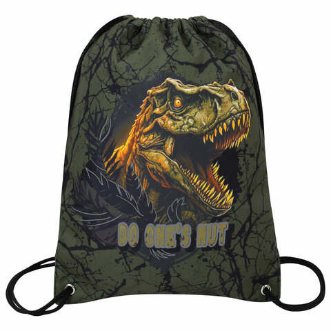 Мешок для обуви BRAUBERG PREMIUM, карман, подкладка, светоотражайка, 43х33 см, Dino attack, 272424 - фото 1