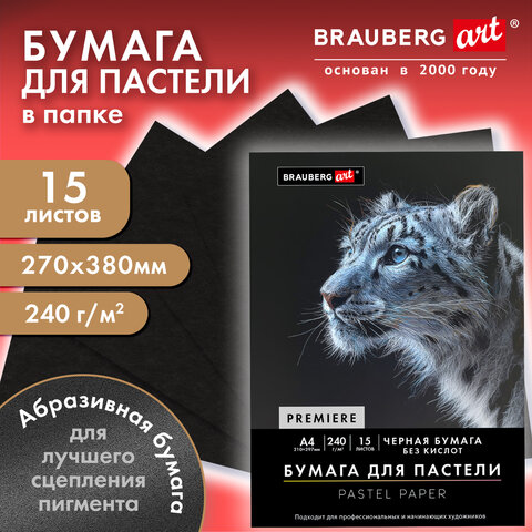 Бумага для пастели АБРАЗИВНАЯ А3 в папке, 15 листов, ЧЕРНАЯ, 240 г/м2, BRAUBERG ART, 117766 - фото 3