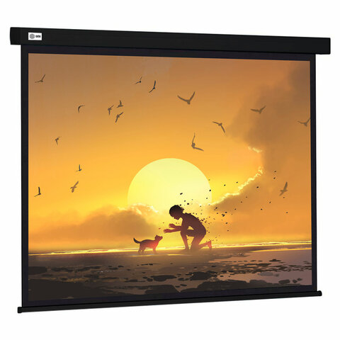 Экран Cactus Wallscreen CS-PSW-150X150-BK, 150x150 см, 1:1, настенно-потолочный, черный, PSW-150x150-BK - фото 1