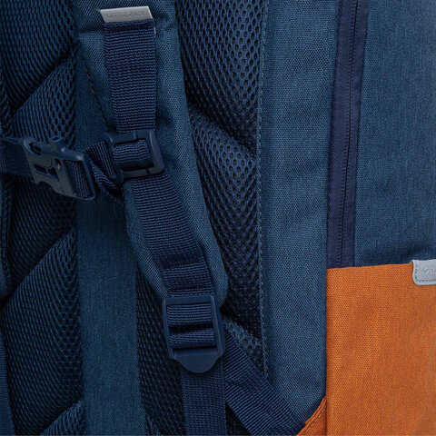 Рюкзак GRIZZLY школьный, укрепленная спинка, 2 отделения, для девочек, BLUE/ORANGE, 43х27,5х16 см, RD-341-2/3 - фото 8