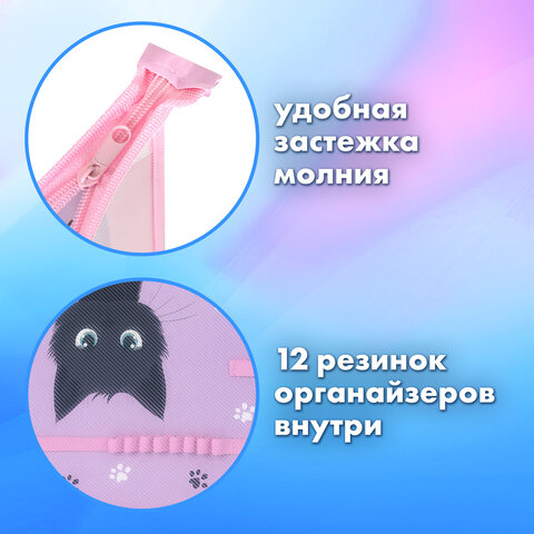 Папка для труда BRAUBERG А4, 2 отделения, пластик, молния сверху, органайзер, "Hide and seek", 273399 - фото 8