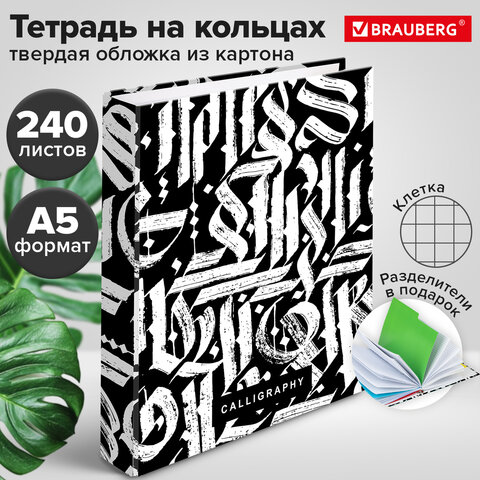 Тетрадь на кольцах А5 (175х215 мм), 240 листов, твердый картон, клетка, с разделителями, BRAUBERG, Calligraphy,404097 - фото 8