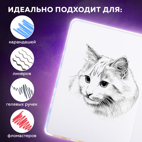 Скетчбук, белая бумага 120 г/м2, 145х203 мм, 80 л., резинка, твердый, BRAUBERG ART DEBUT "Львёнок", 114585 - фото 12