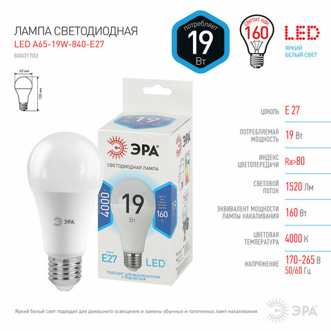 Лампа светодиодная ЭРА STD, 19 (160) Вт, цоколь E27, груша, нейтральный белый свет, 35000 ч., LED A65-19W-840-E27, Б0031703 - фото 3