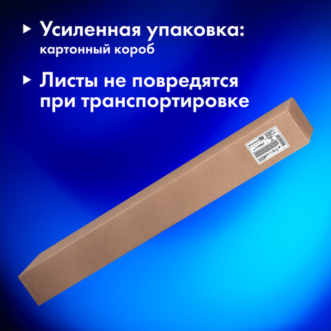 Бумага для акварели А0 (1200х840 мм), 5 листов, среднее зерно, 200 г/м2, ГОЗНАК, BRAUBERG ART CLASSIC, 114487 - фото 6