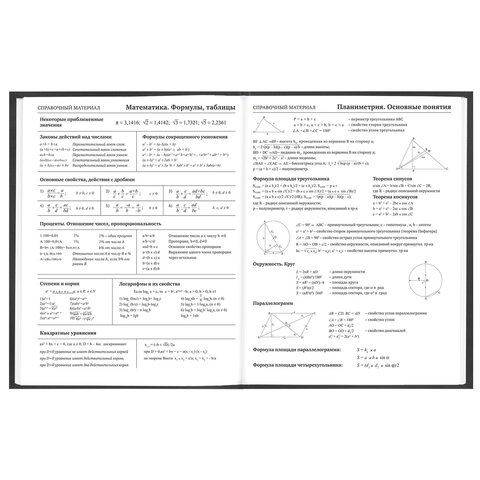 Дневник 5-11 класс 48 л., твердый, FUNSTER (ФАНСТЕР), выборочный лак, с подсказом, "Гусыня-балерина", 107615 - фото 10
