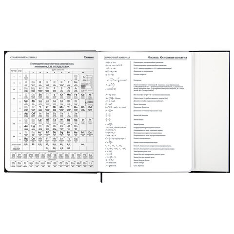 Дневник 1-11 класс 48 л., твердый, BRAUBERG, матовая ламинация, магнитный клапан, закладка-ляссе, с подсказом, "Дракон", 107245 - фото 18