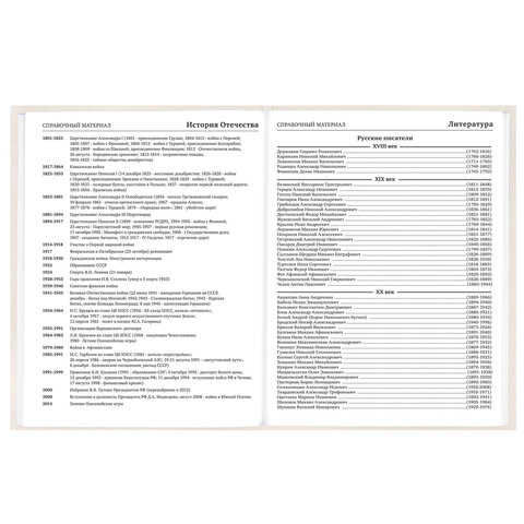 Дневник 5-11 класс 48 л., твердый, BRAUBERG, выборочный лак, с подсказом, "Кот-Непоседа", 107616 - фото 14