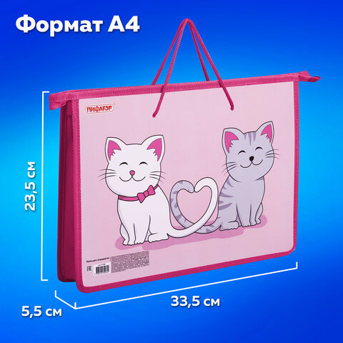 Папка на молнии с ручками ПИФАГОР А4, 1 отделение, пластик, ручки-шнурок, "Best Buds", 271469 - фото 9