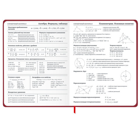 Дневник 1-11 класс 48 л., твердый, BRAUBERG, матовая ламинация, резинка, закладка-ляссе, с подсказом, "Мото", 107236 - фото 15