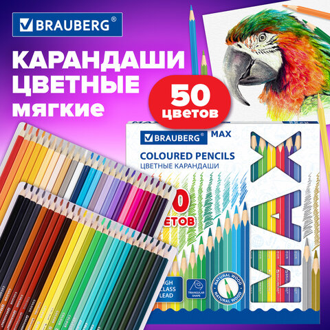 Карандаши цветные супермягкие яркие BRAUBERG MAX, 50 цветов, трехгранные, грифель 3,3 мм, натуральное дерево, 181860 - фото 7
