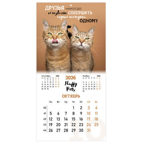 Календарь настенный перекидной 2026 г., BRAUBERG, 12 листов, 28,5х28,5 см, "Милые котики", 116929 - фото 13