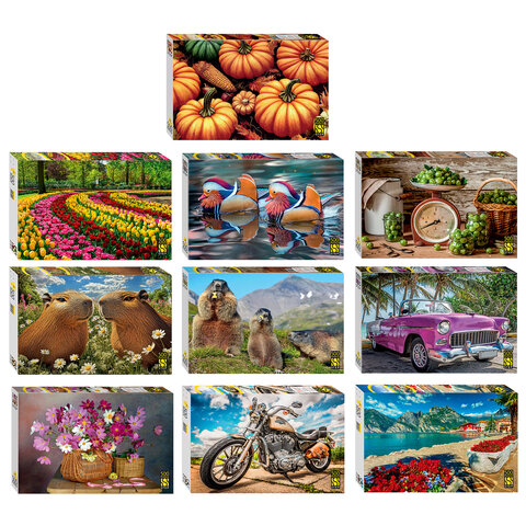 Пазл картонный, 500 элементов, АССОРТИ, поле 50х34,5 см, STEP PUZZLE - фото 1