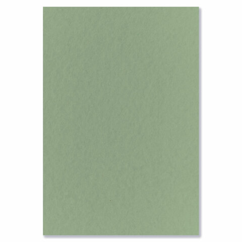 Бумага для пастели БОЛЬШАЯ А3 в папке, 20 листов, 5 цветов, 180 г/м2, BRAUBERG ART CLASSIC, 116346 - фото 3