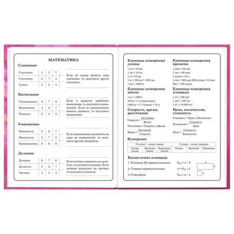 Дневник 1-4 класс 48 л., твердый, ЮНЛАНДИЯ, выборочный лак, с подсказом, "Панда", 107597 - фото 14